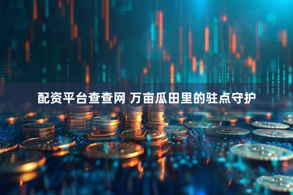 配资平台查查网 万亩瓜田里的驻点守护