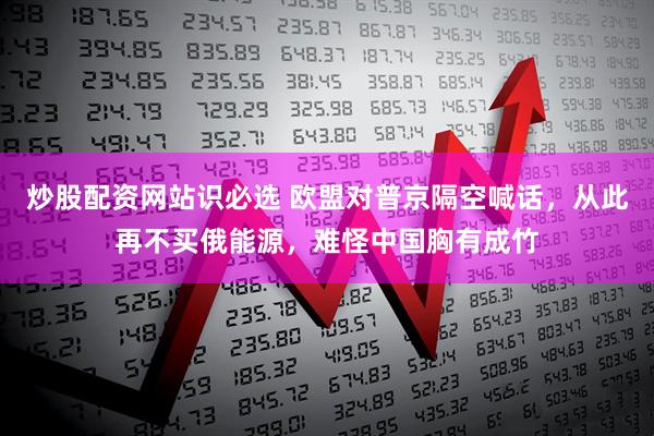 炒股配资网站识必选 欧盟对普京隔空喊话，从此再不买俄能源，难怪中国胸有成竹